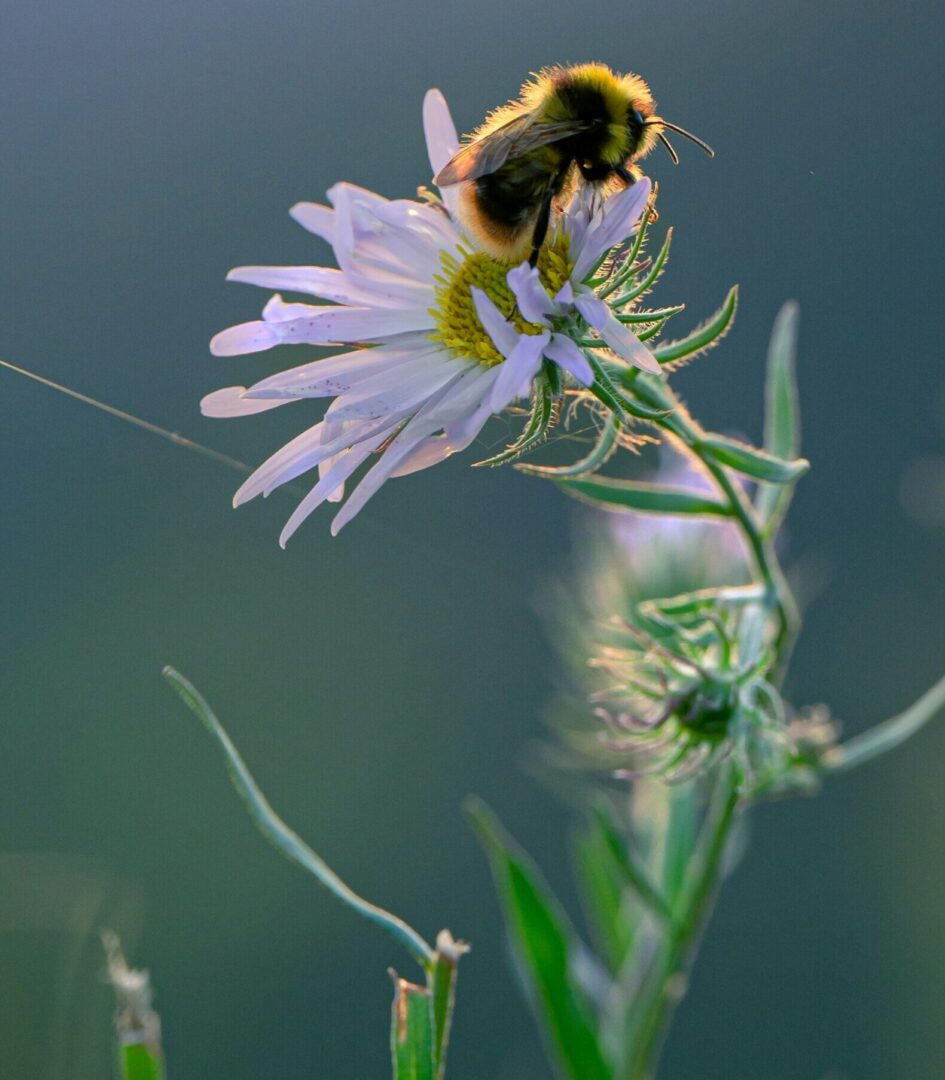 Obisk Večgeneracijskega centra Škofja Loka v DČ Brode