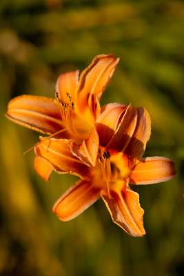 Tehnični dan OŠ Jela Janežiča